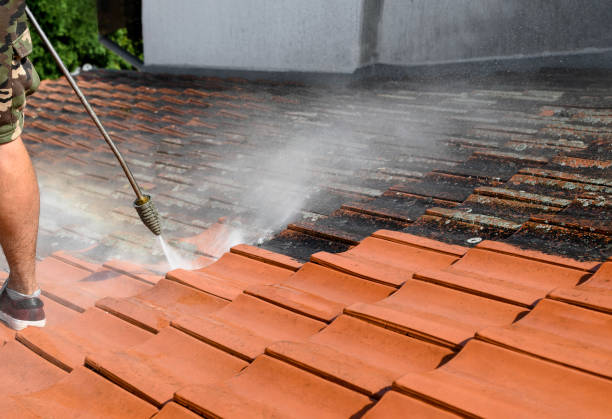 Local Pressure Washing Services in Round Lake Park, IL