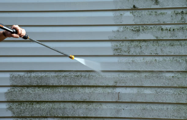 Best Residential Pressure Washing Services  in Round Lake Park, IL